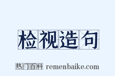 检视造句是什么意思的图片
